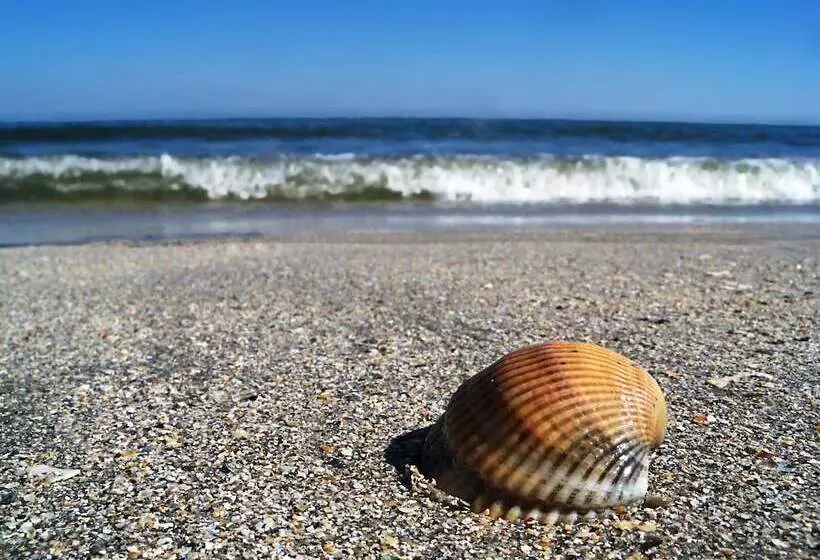 호텔 Iaki Conference & Spa