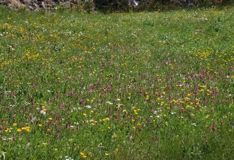 酒店 Hôtel Spa La Cascade