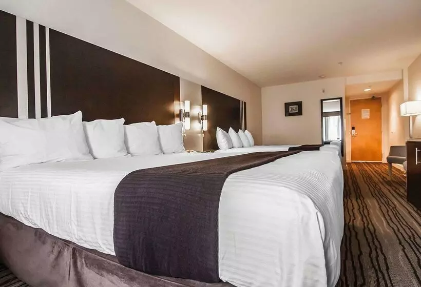 Quality Hotel Airport South