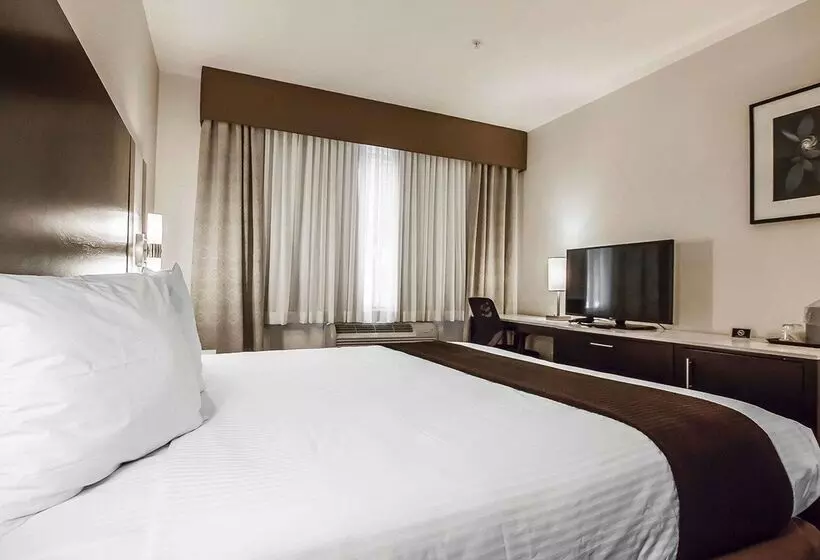 Quality Hotel Airport South