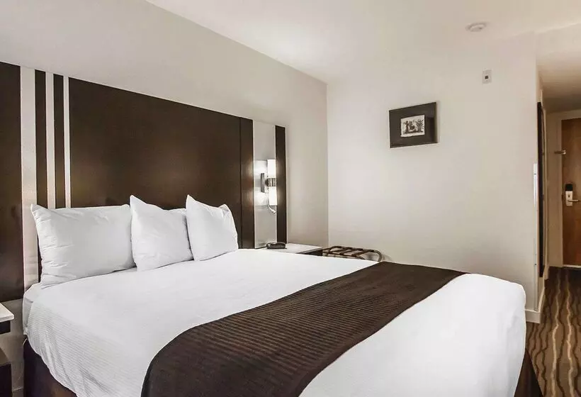 Quality Hotel Airport South