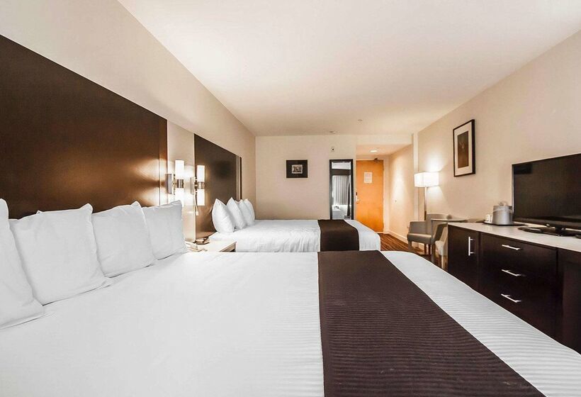 Quality Hotel Airport South