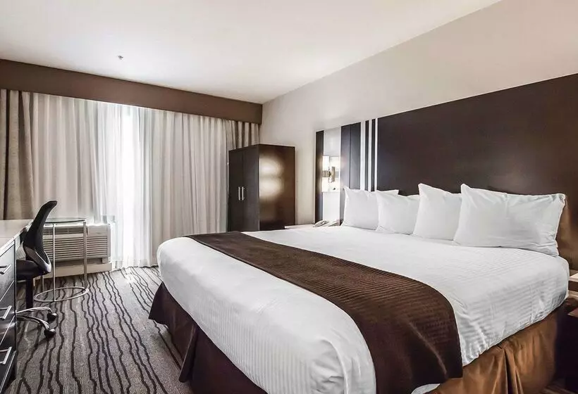 Quality Hotel Airport South