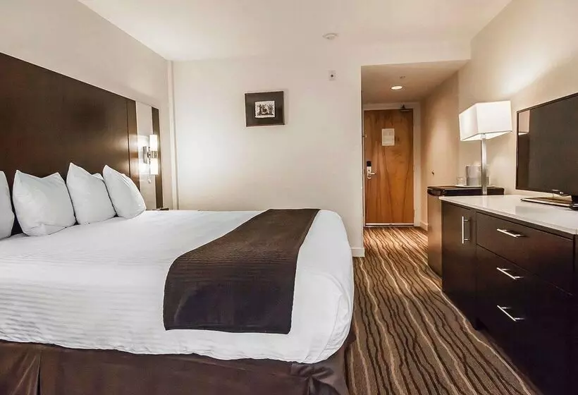 Quality Hotel Airport South