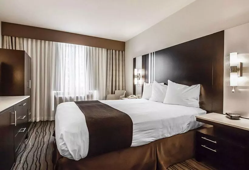 Quality Hotel Airport South