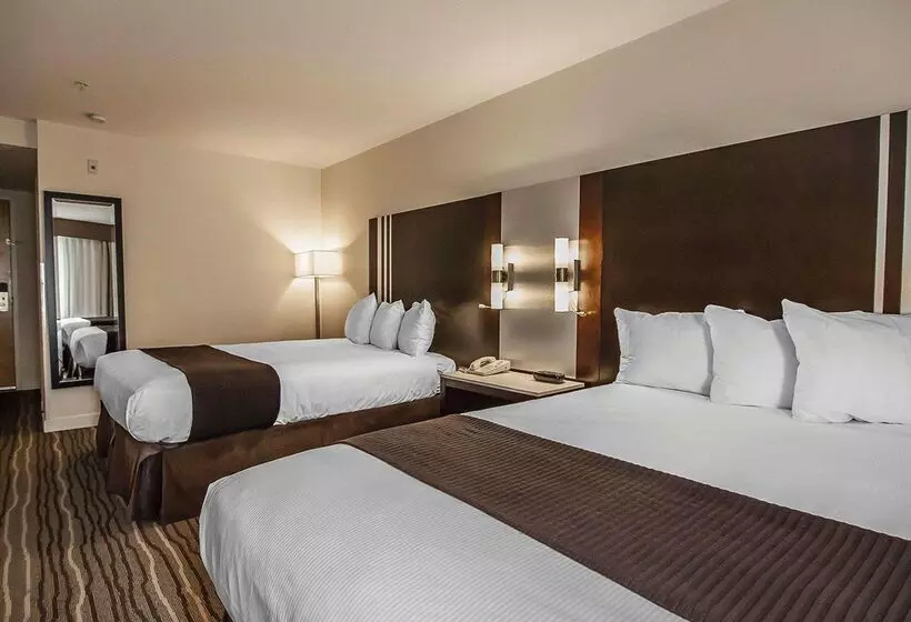 Quality Hotel Airport South