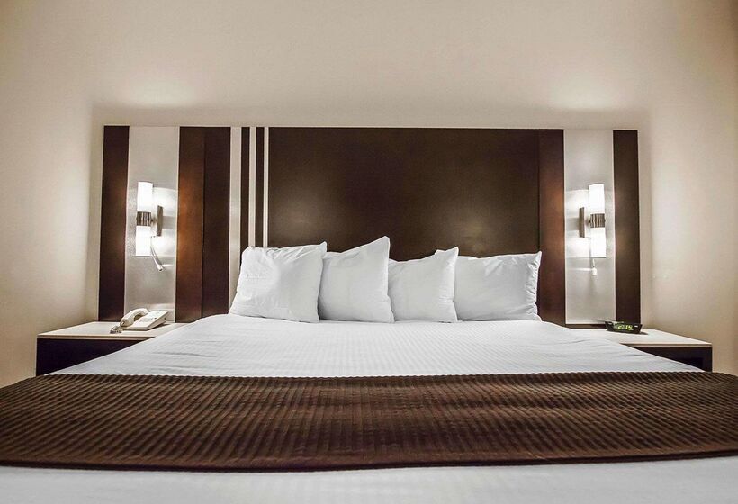 Quality Hotel Airport South