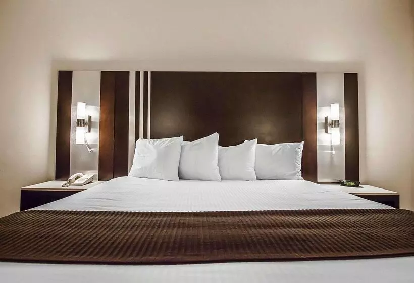 Quality Hotel Airport South