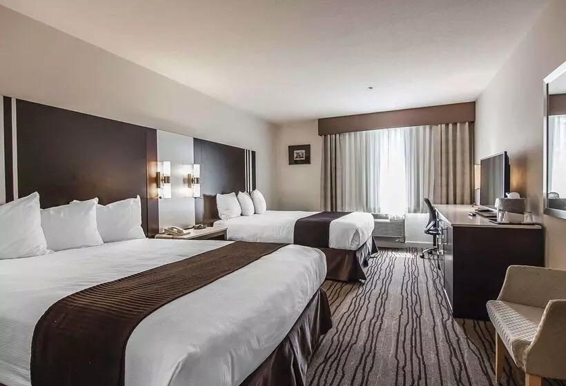 Quality Hotel Airport South