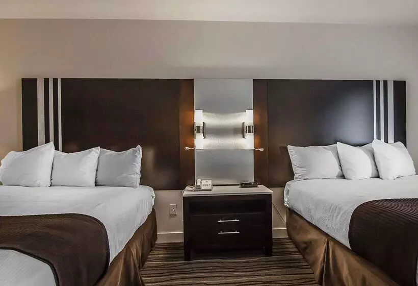 Quality Hotel Airport South