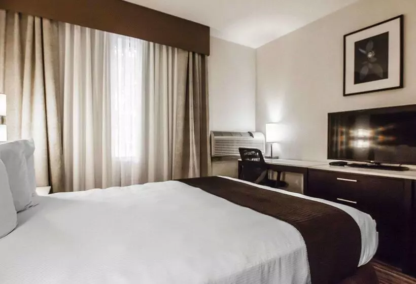 Quality Hotel Airport South