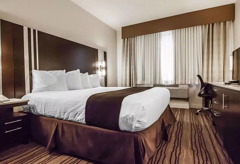 Quality Hotel Airport South