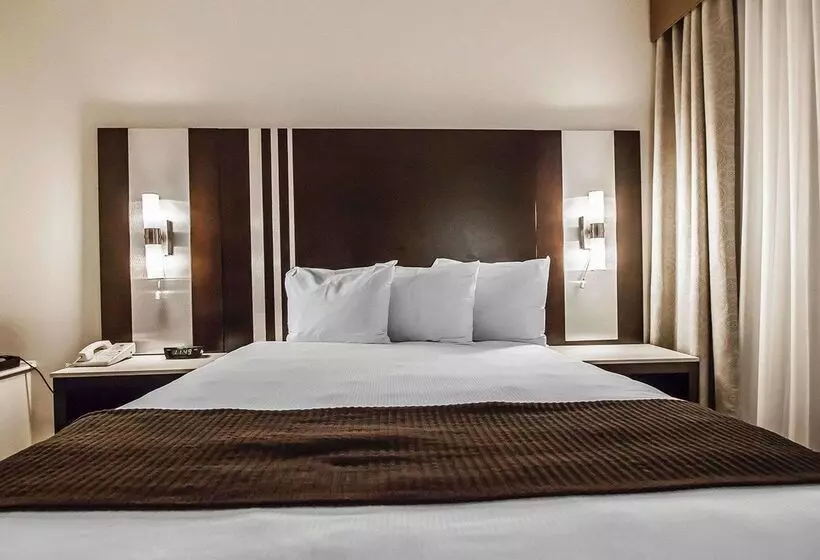 Quality Hotel Airport South