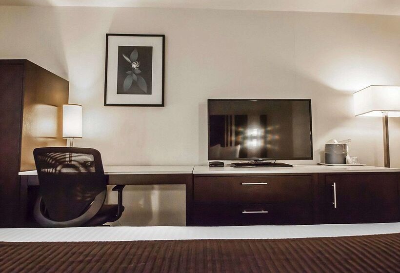 Quality Hotel Airport South