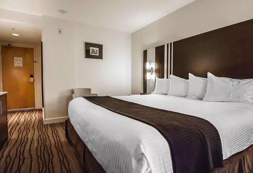 Quality Hotel Airport South