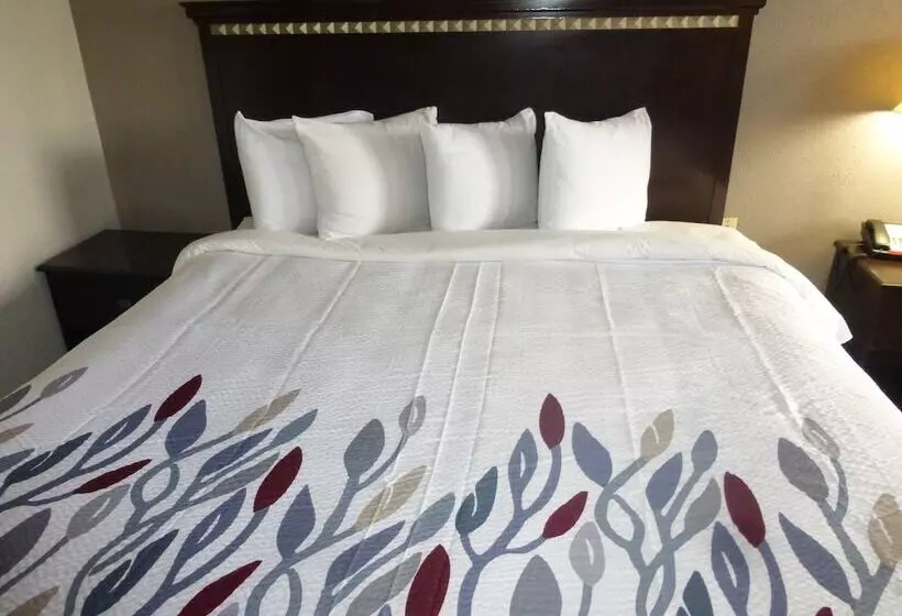 호텔 Red Roof Inn Evergreen