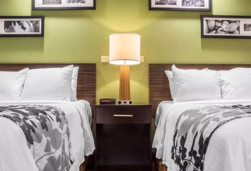 酒店 Sleep Inn
