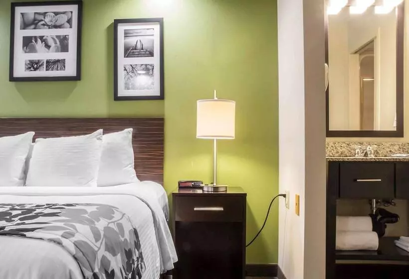 酒店 Sleep Inn