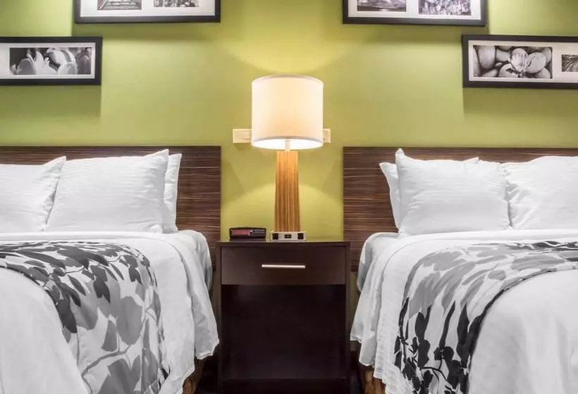 酒店 Sleep Inn