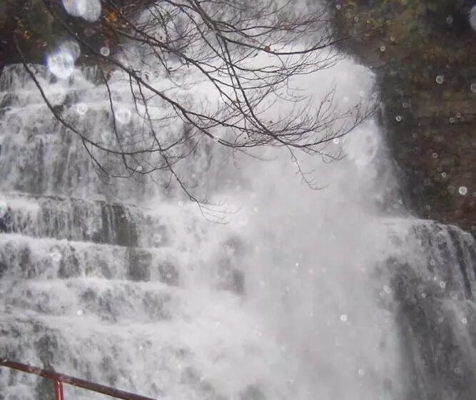 Отель Auberge Du Hérisson