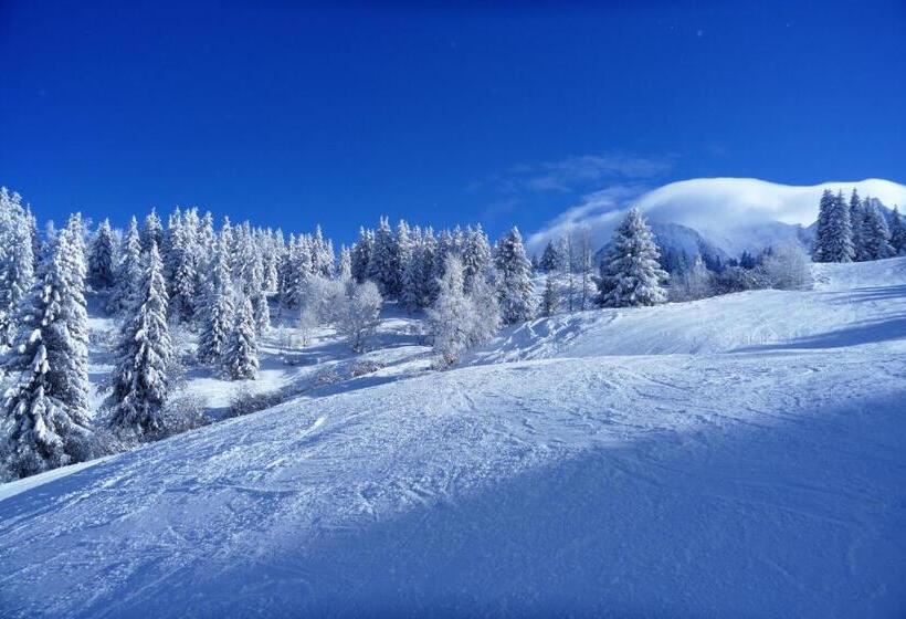 هتل Chalet Hôtel Du Bois