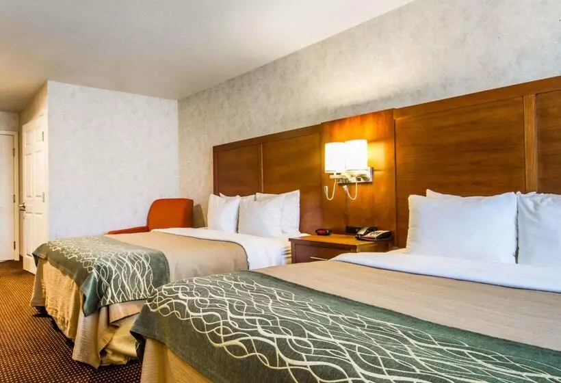 호텔 Comfort Inn Watsonville