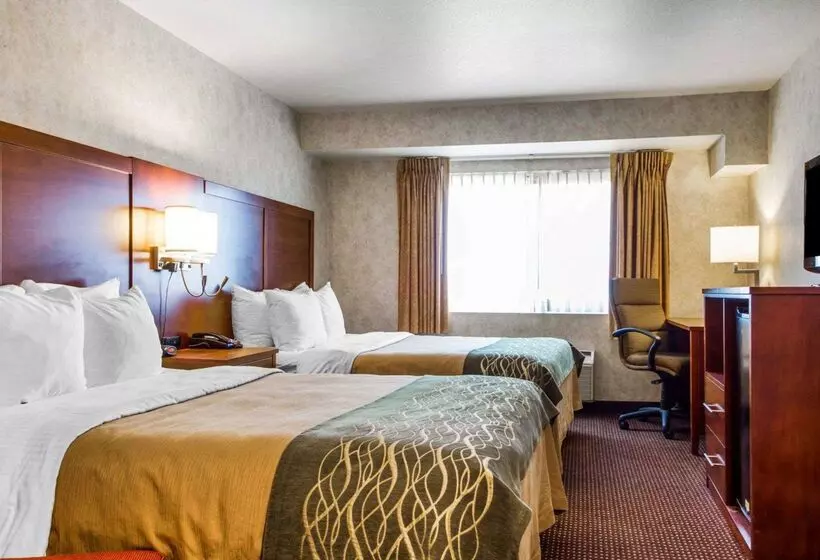 호텔 Comfort Inn Watsonville