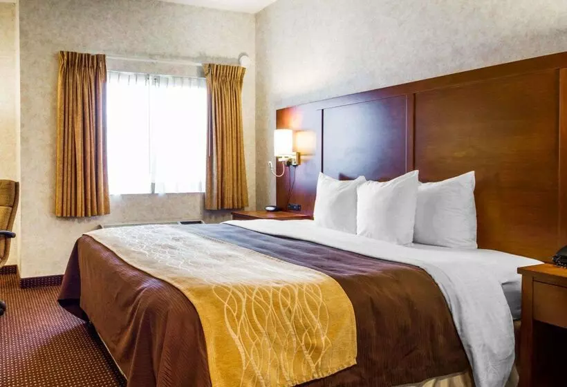 호텔 Comfort Inn Watsonville