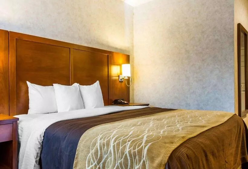 호텔 Comfort Inn Watsonville