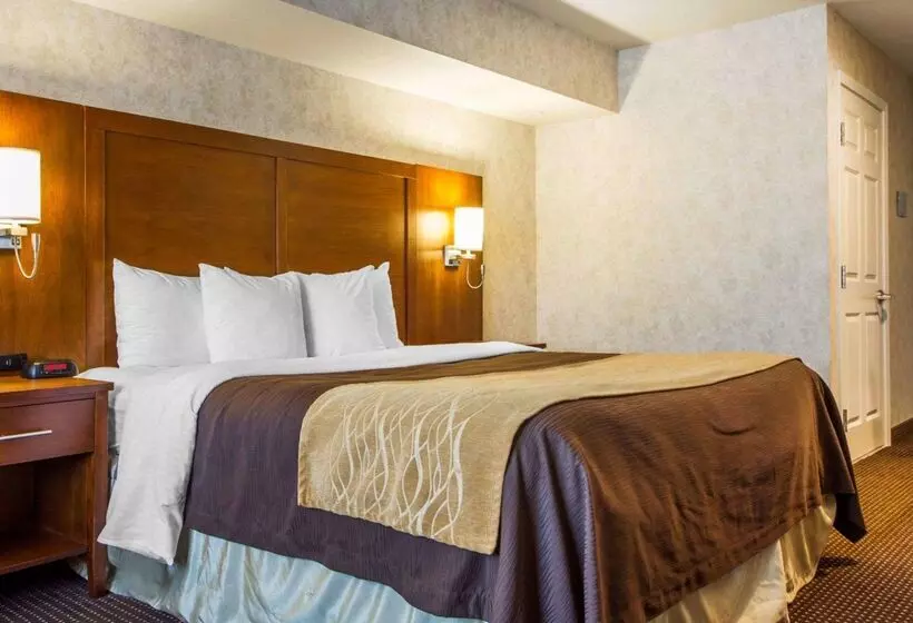 호텔 Comfort Inn Watsonville