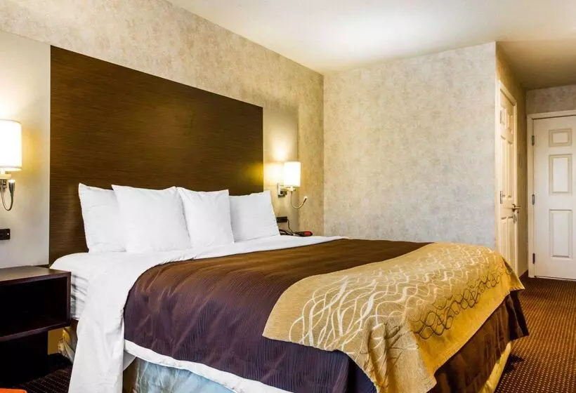 호텔 Comfort Inn Watsonville