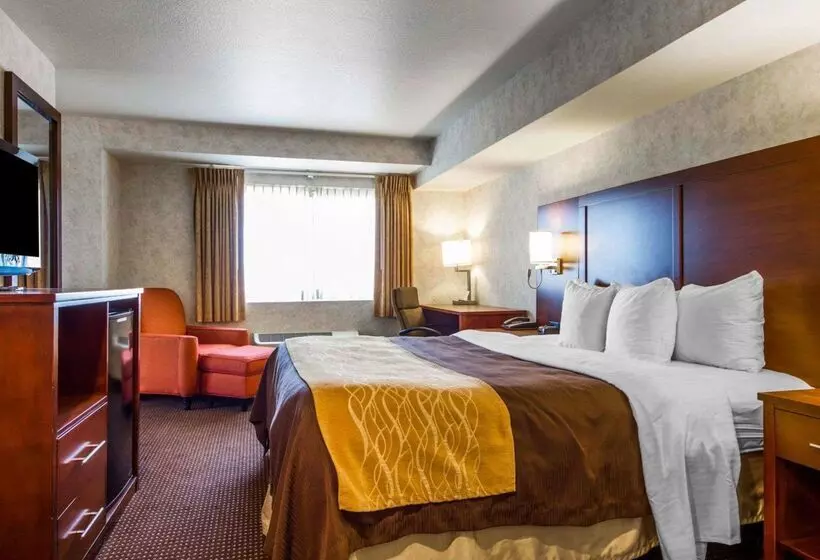 호텔 Comfort Inn Watsonville