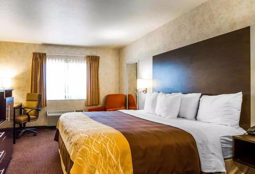 호텔 Comfort Inn Watsonville