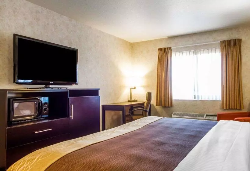 호텔 Comfort Inn Watsonville