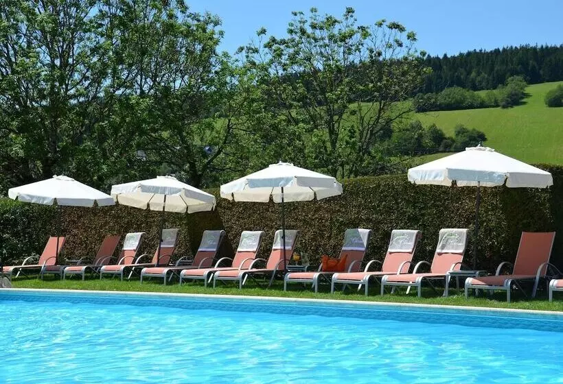 Отель Hôtel Et Spa Les Clarines