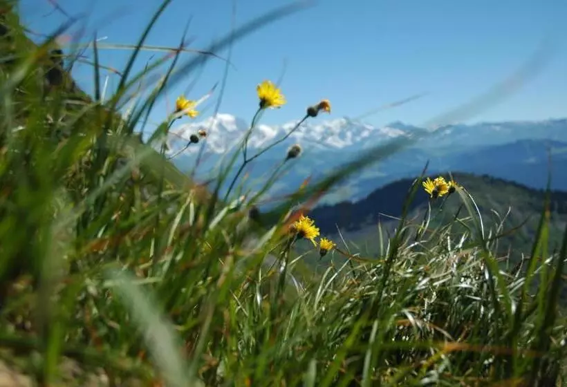 Отель Le Caprice Des Neiges