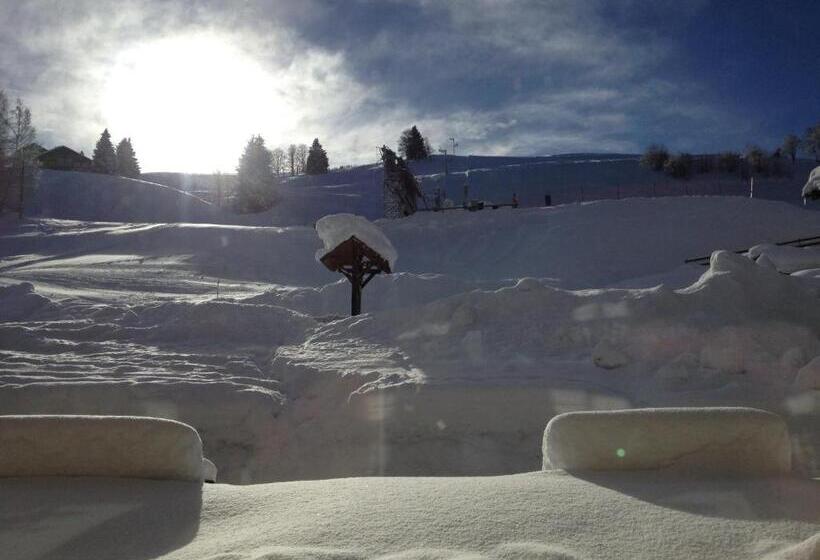 هتل Le Caprice Des Neiges