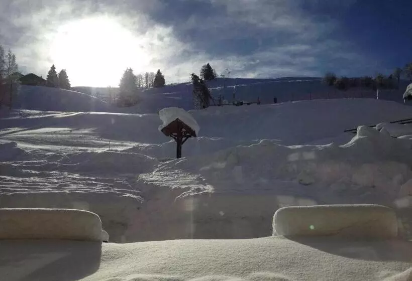 Отель Le Caprice Des Neiges