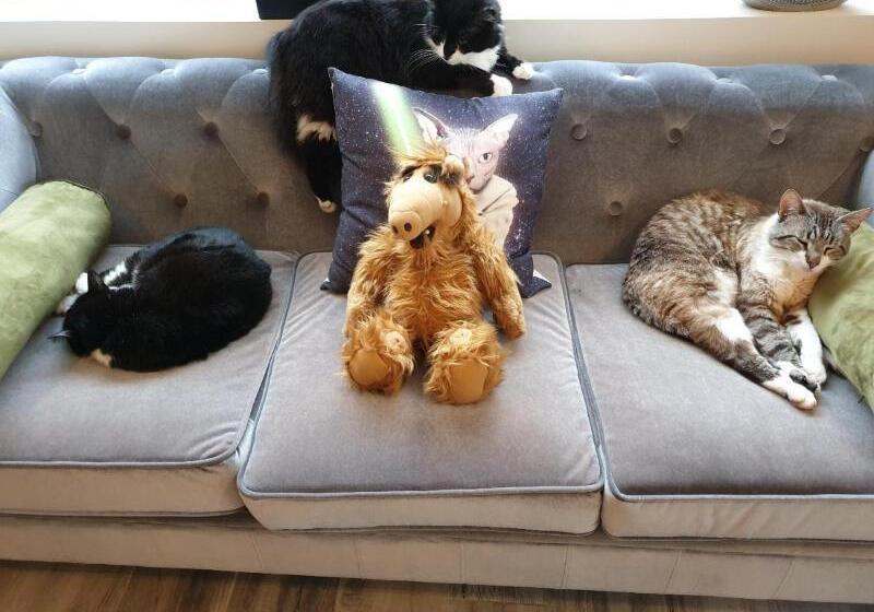 Отель Le Centre