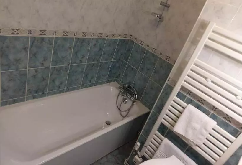 Hotel Logis De L Europe Restaurant Le Cepage