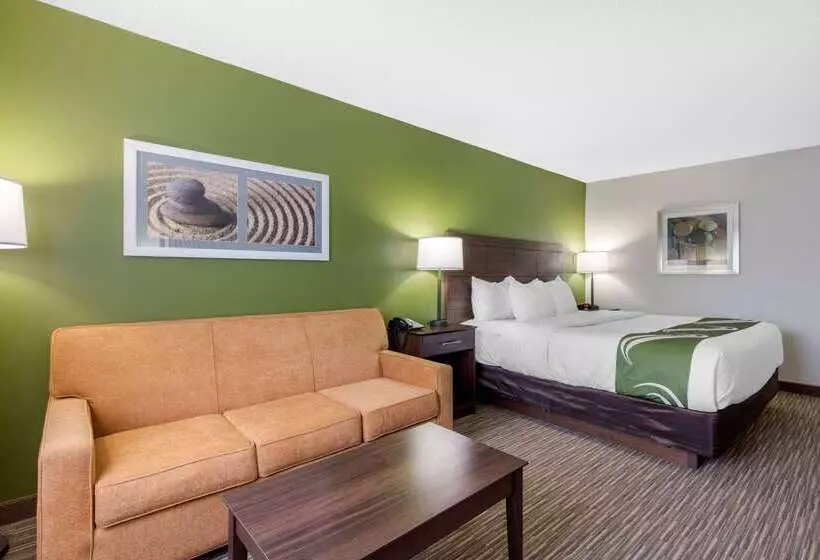 هتل Quality Inn & Suites Mountain Home North
