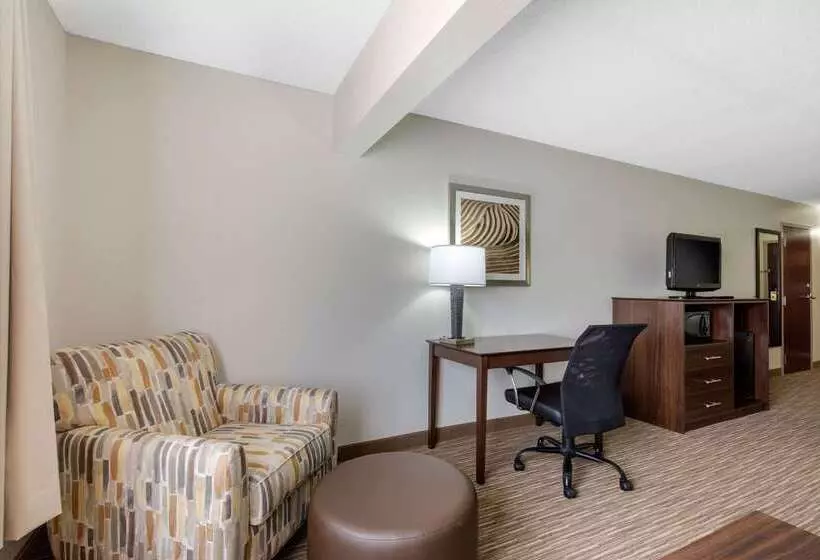هتل Quality Inn & Suites Mountain Home North