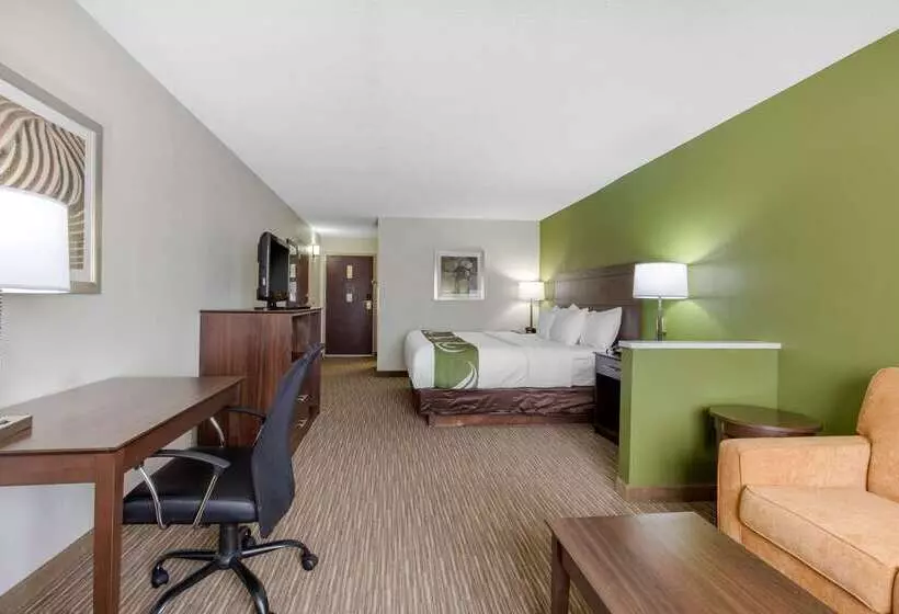 هتل Quality Inn & Suites Mountain Home North
