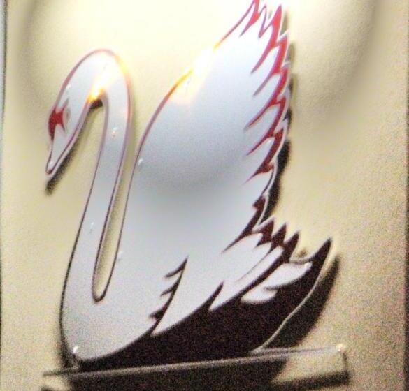 酒店 Restaurant Le Cygne