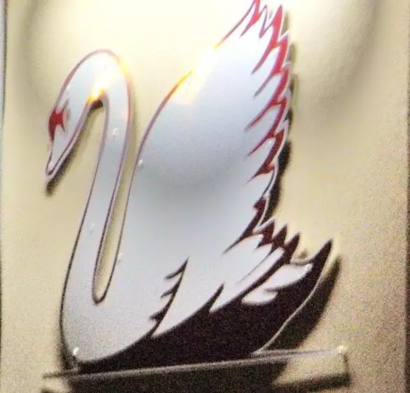 호텔 Restaurant Le Cygne