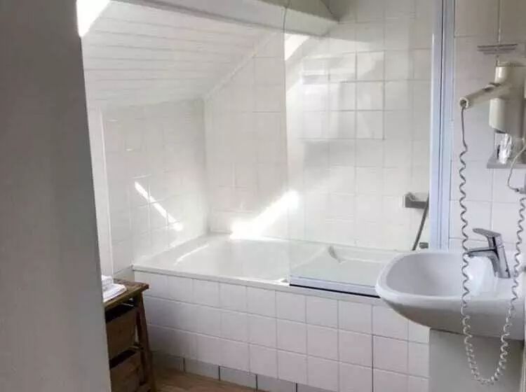 فندق ريفى Auberge Du Fel