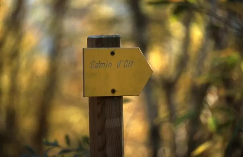 فندق ريفى Auberge Du Fel