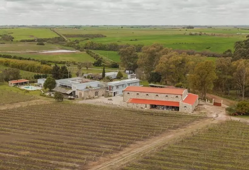 Carmelo Resort & Spa