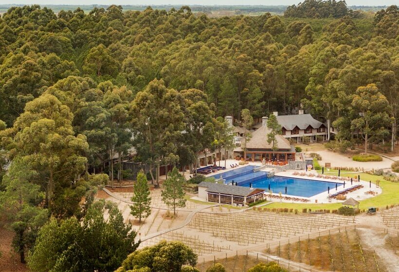 Carmelo Resort & Spa