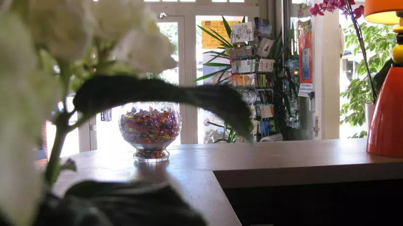 Отель Hôtel Bellevue